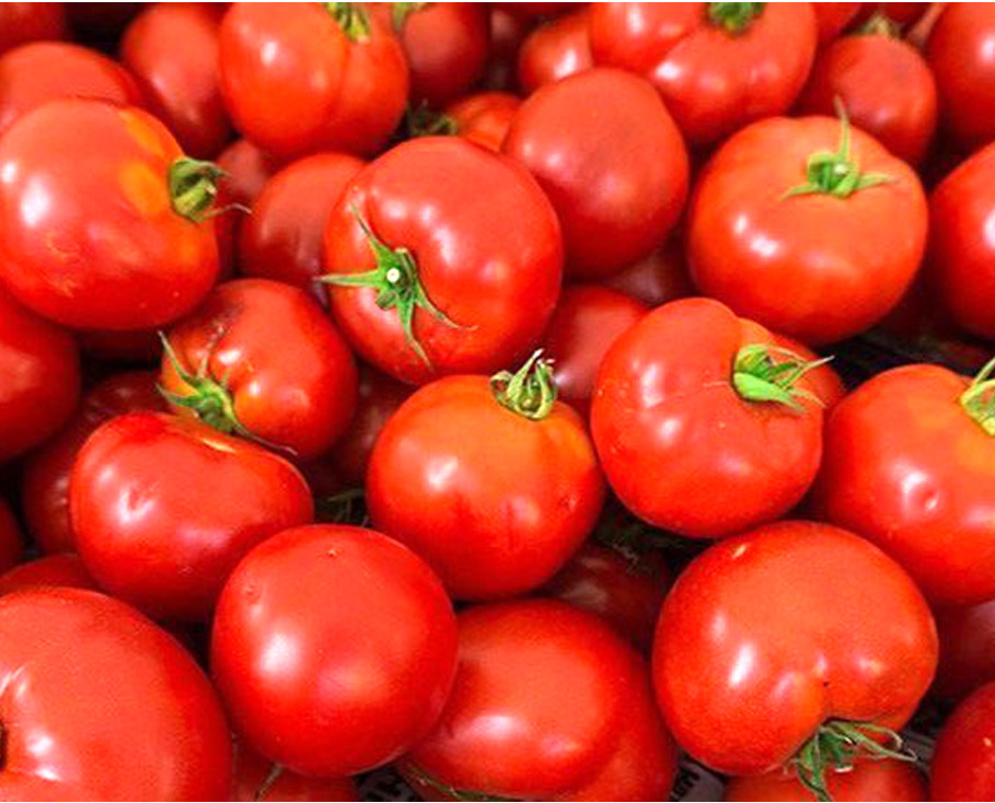 909 X 734 tomato2
